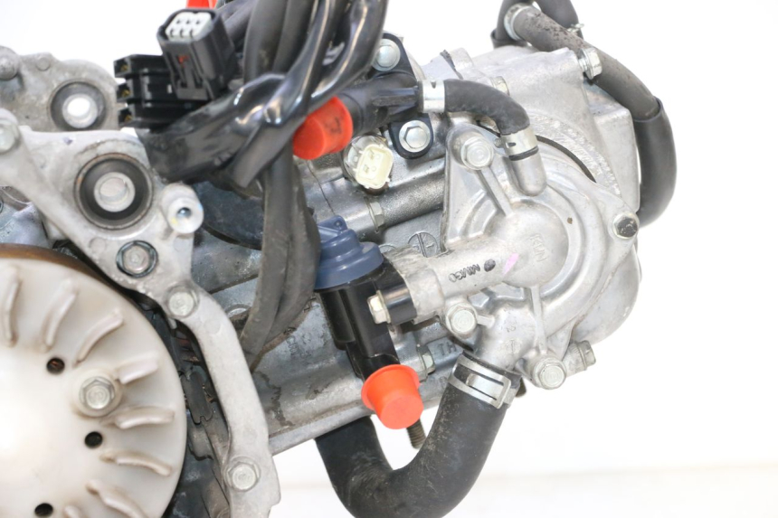 photo de MOTORE HONDA PCX (JF28) 125 (2009 - 2011) - Zoom sui componenti