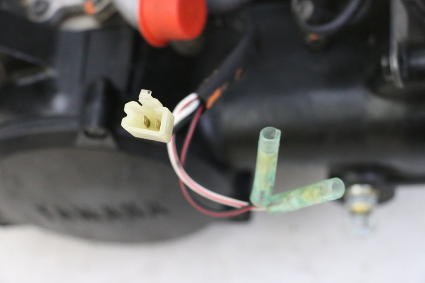 photo de MOTORE YAMAHA PW 50 (1984 - 2025) - Caratteristiche distintive