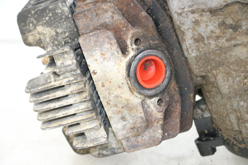 photo de MOTORE YAMAHA PW 80 (1983 - 2014) - Primo piano tecnico