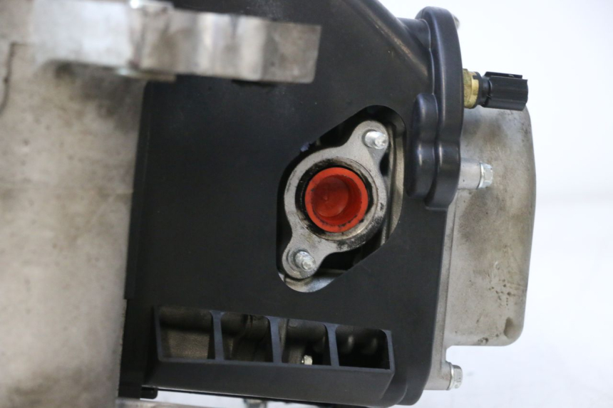 photo de MOTORE JM MOTORS R-MAX TECH 50 (2024 - 2026) - Altra angolazione