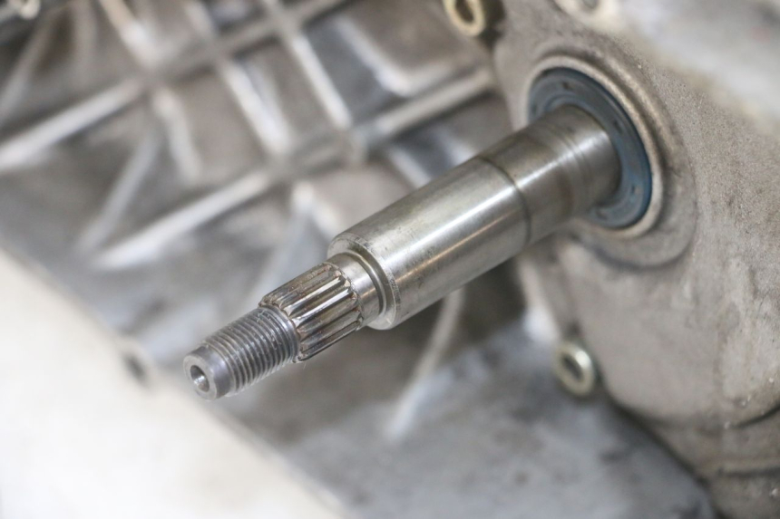 photo de MOTORE APRILIA RALLY AC 50 (1995 - 2004) - Marcature e riferimenti originali