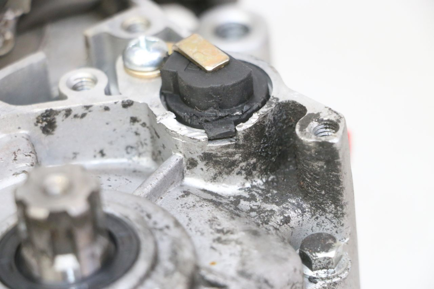 photo de MOTORE APOLLO RFZ 125 - Primo piano tecnico