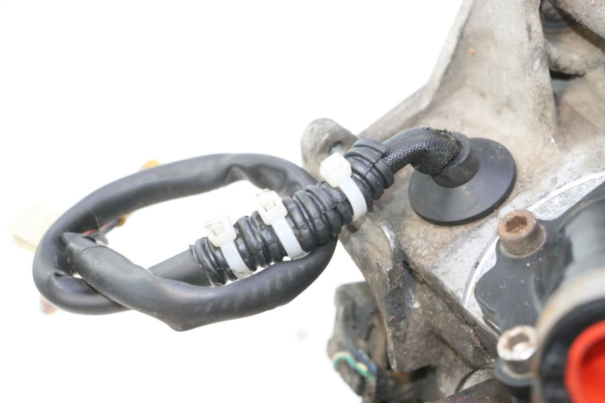 photo de MOTORE TNT MOTOR ROMA 10' 2T 50 (2011 - 2018) - Ricambio usato controllato