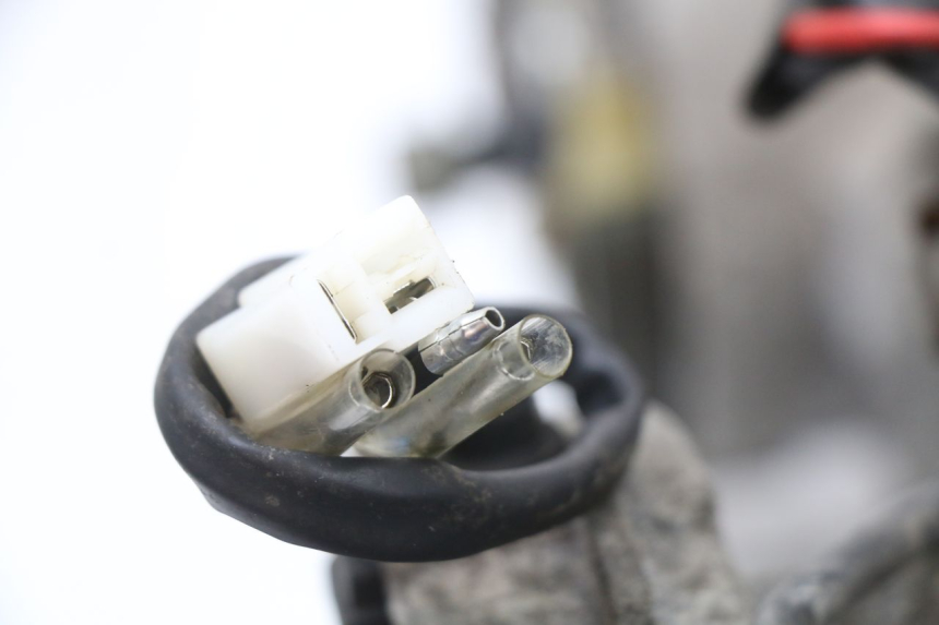 photo de MOTORE TNT MOTOR ROMA 10' 4T 50 (2007 - 2018) - Marcature e riferimenti originali