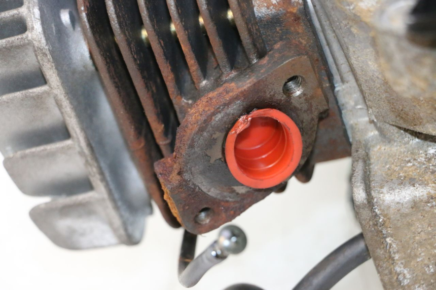 photo de MOTORE TNT MOTOR ROMA 12' 2T 50 (2007 - 2018) - Dettaglio del componente