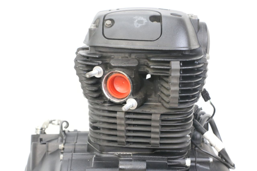 photo de MOTORE ROYAL ENFIELD HYMALAYAN 410 (2016 - 2023) - Caratteristiche distintive