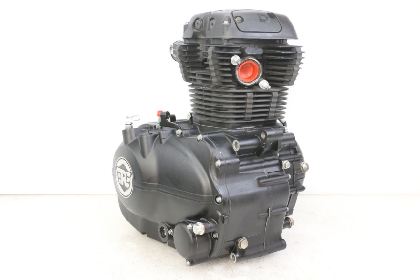 photo de MOTORE ROYAL ENFIELD HYMALAYAN 410 (2016 - 2023) - Zoom sui componenti