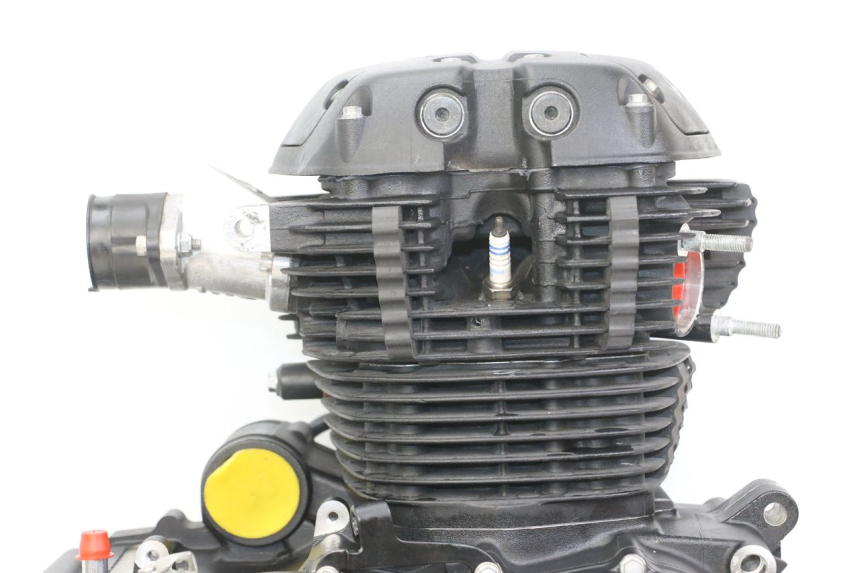 photo de MOTORE ROYAL ENFIELD HYMALAYAN 410 (2016 - 2023) - Foto prodotto supplementare