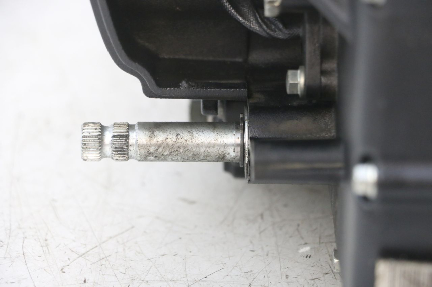 photo de MOTORE ROYAL ENFIELD HYMALAYAN 410 (2016 - 2023) - Altra angolazione