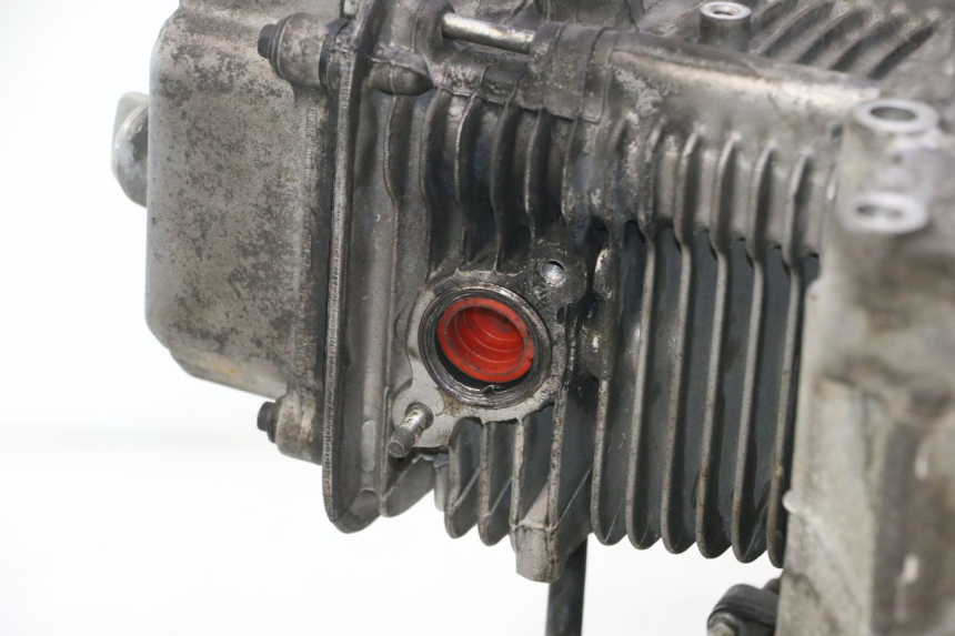 photo de MOTORE DAELIM S2 125 (2006 - 2007) - Stato della superficie e materiale