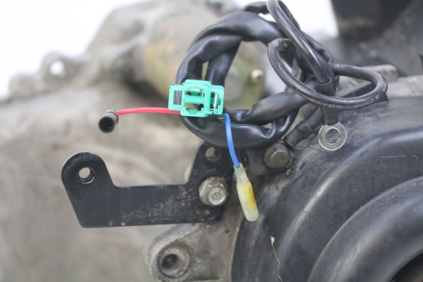 photo de MOTORE JM MOTORS SANTANA 50 (2014 - 2023) - Marcature e riferimenti originali