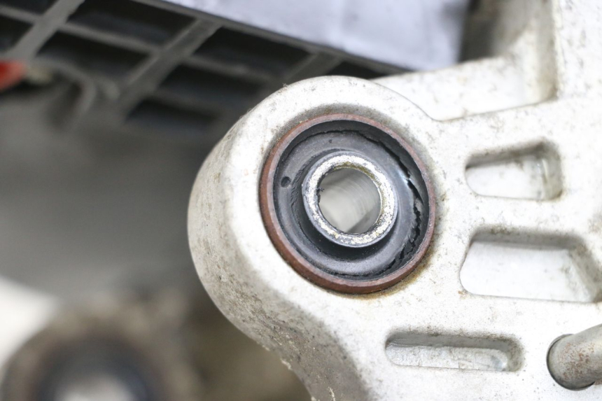 photo de MOTORE JM MOTORS SANTANA 50 (2014 - 2023) - Altra angolazione