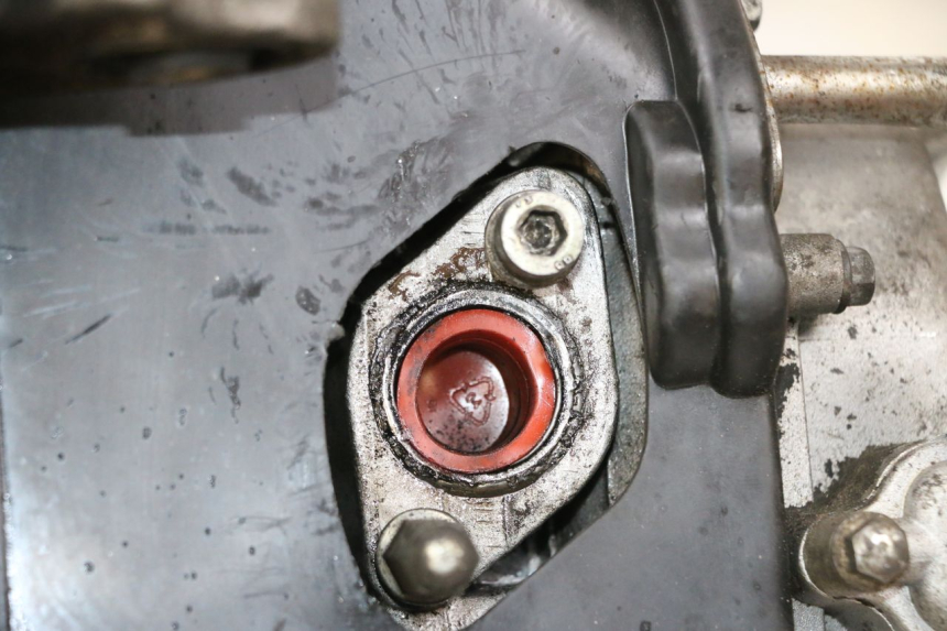 photo de MOTORE JM MOTORS SANTANA 50 (2014 - 2023) - Primo piano tecnico