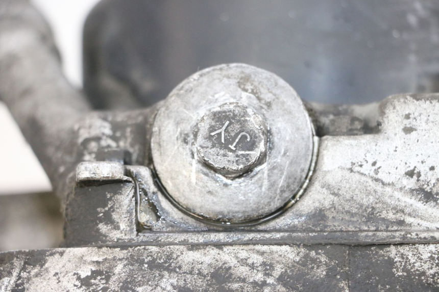 photo de MOTORE JM MOTORS SANTANA 50 (2014 - 2023) - Vista d'insieme del prodotto