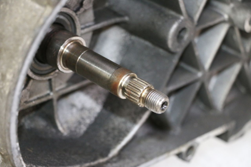 photo de MOTORE PEUGEOT SATELIS 125 (2006 - 2009) - Zoom qualità usato