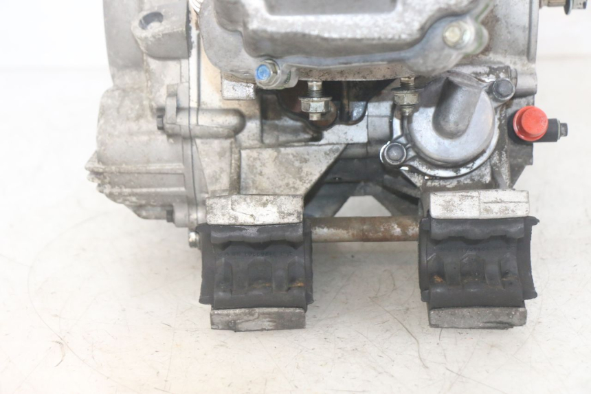 photo de MOTORE PEUGEOT SATELIS 125 (2013 - 2018) - Foto prodotto supplementare