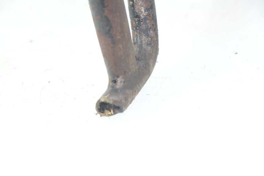 photo de MOTORE JM MOTORS SC 4T 50 (2012 - 2017) - Altra angolazione