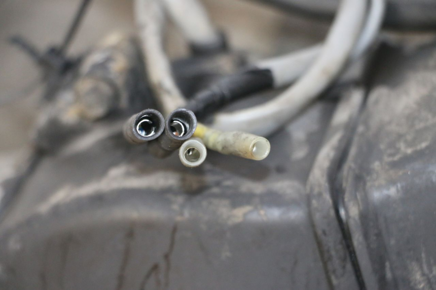 photo de MOTORE HONDA SCV LEAD 100 (2003 - 2007) - Vista principale