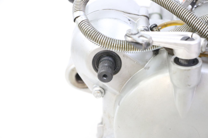 photo de MOTORE DERBI SENDA R X-TREME 50 (2006 - 2010) - Marcature e riferimenti originali