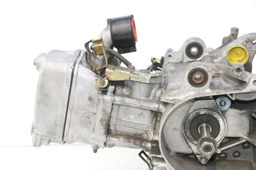 photo de MOTORE HONDA SH 125 (2001 - 2003) - Primo piano ad alta risoluzione