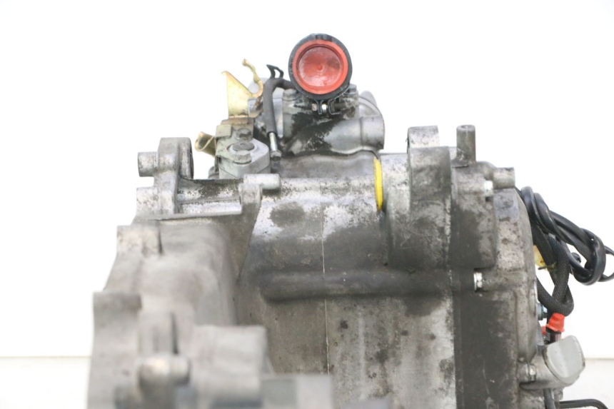 photo de MOTORE HONDA SH 125 (2001 - 2003) - Panoramica del profilo