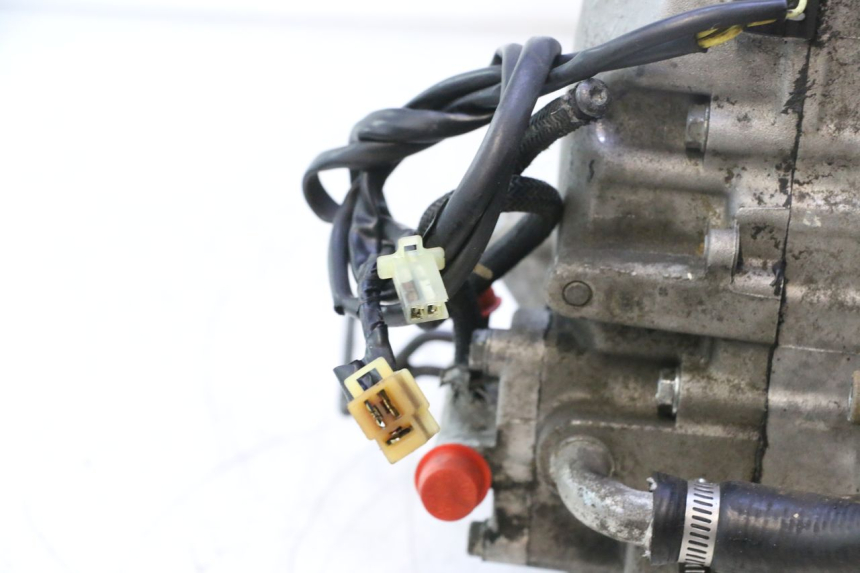 photo de MOTORE HONDA SH 125 (2001 - 2003) - Marcature e riferimenti originali