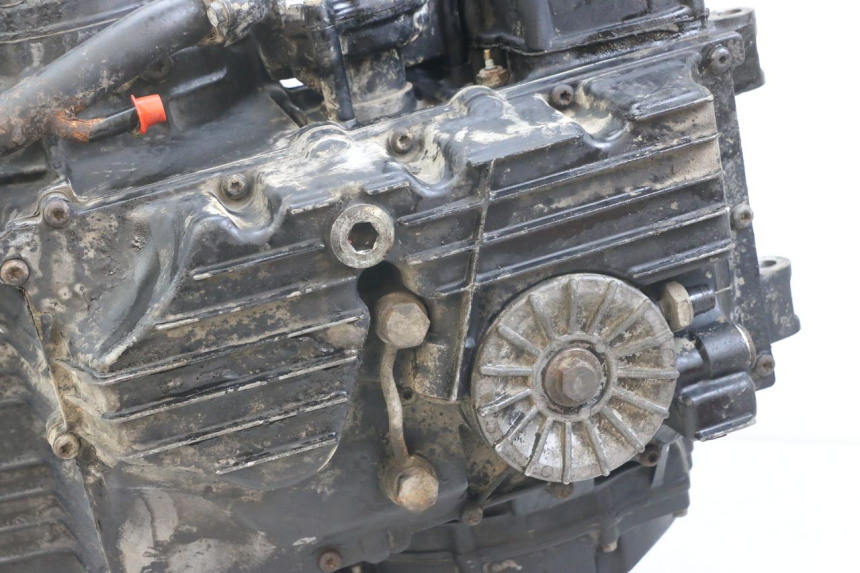 photo de MOTORE TRIUMPH SPEED TRIPLE T301 900 (1994 - 1996) - Vista d'insieme del prodotto