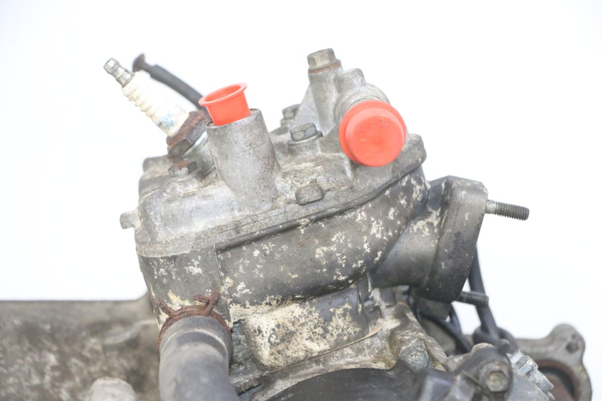 photo de MOTORE PEUGEOT SPEEDFIGHT 2 LC 50 (2000 - 2009) - Focus sulla struttura