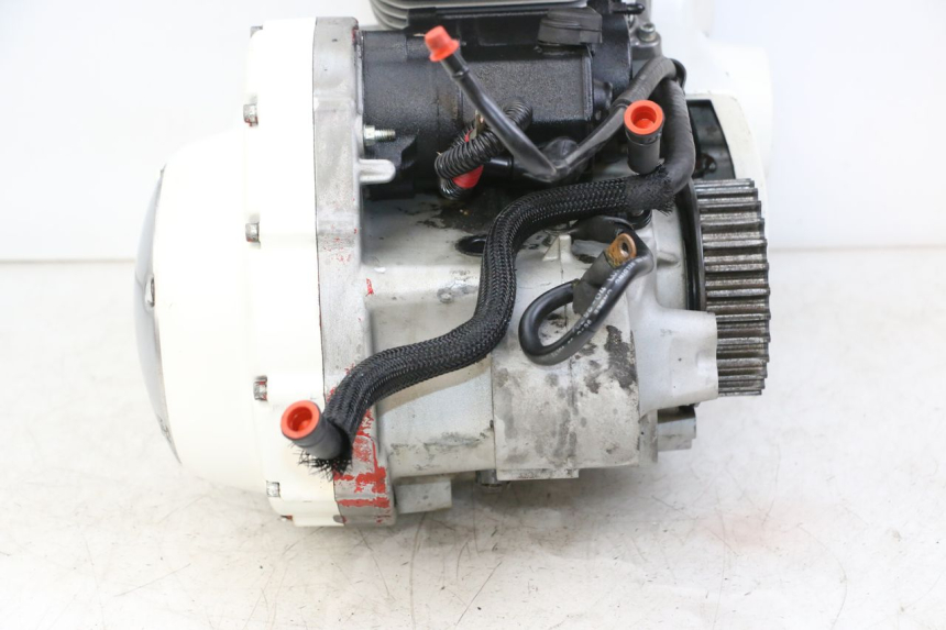 photo de MOTORE HARLEY DAVIDSON SPORTSTER XL CUSTOM 883 (1999 - 2006) - Foto prodotto supplementare