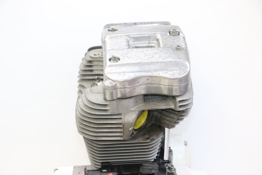 photo de MOTORE HARLEY DAVIDSON SPORTSTER XL CUSTOM 883 (1999 - 2006) - Focus sulla struttura