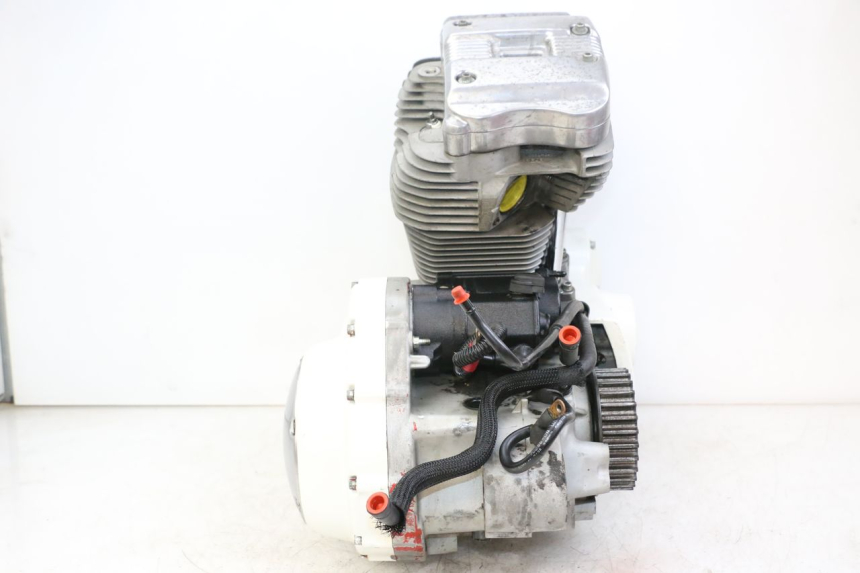 photo de MOTORE HARLEY DAVIDSON SPORTSTER XL CUSTOM 883 (1999 - 2006) - Zoom qualità usato