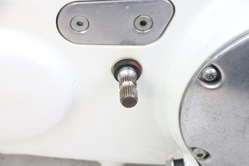 photo de MOTORE HARLEY DAVIDSON SPORTSTER XL CUSTOM 883 (1999 - 2006) - Panoramica del profilo