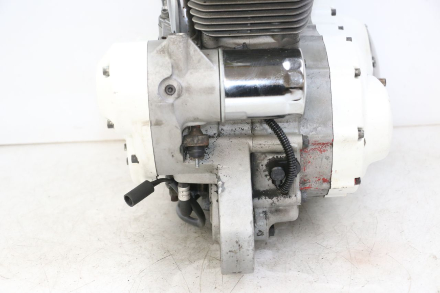 photo de MOTORE HARLEY DAVIDSON SPORTSTER XL CUSTOM 883 (1999 - 2006) - Zoom sullo stato d'uso