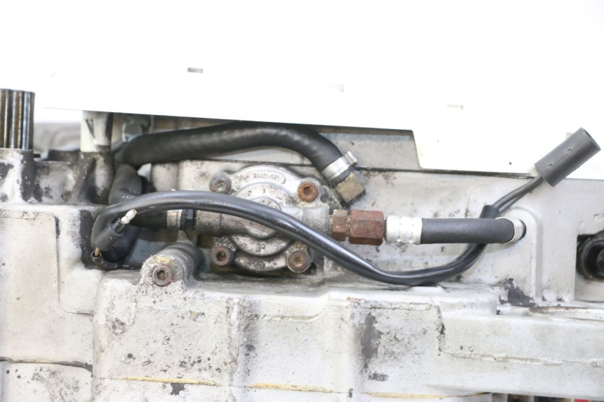 photo de MOTORE HARLEY DAVIDSON SPORTSTER XL CUSTOM 883 (1999 - 2006) - Primo piano tecnico