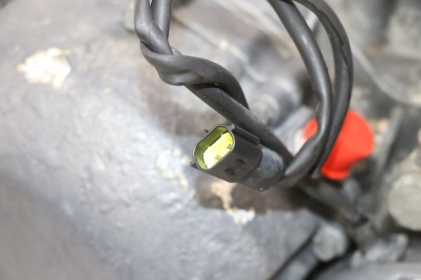 photo de MOTORE TRIUMPH SPRINT 900 (1995 - 1998) - Dettaglio del componente