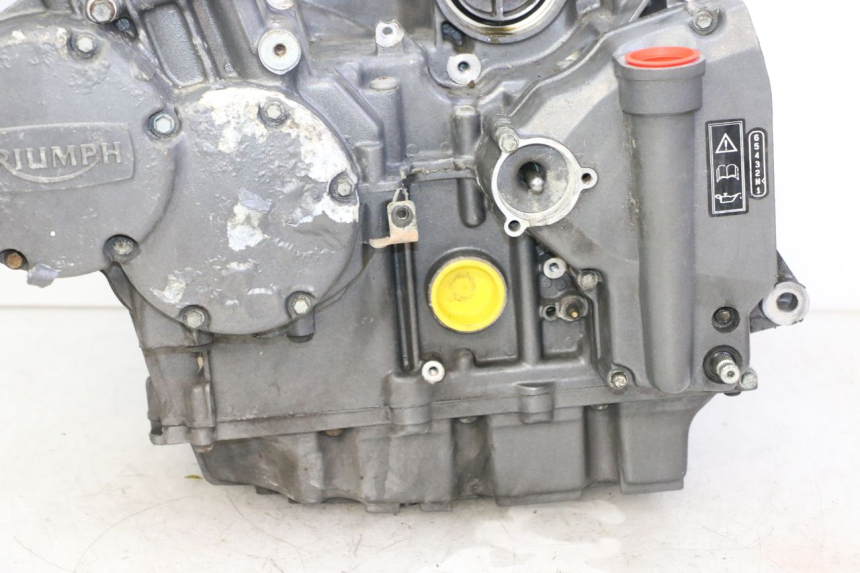 photo de MOTORE TRIUMPH SPRINT 900 (1995 - 1998) - Primo piano tecnico