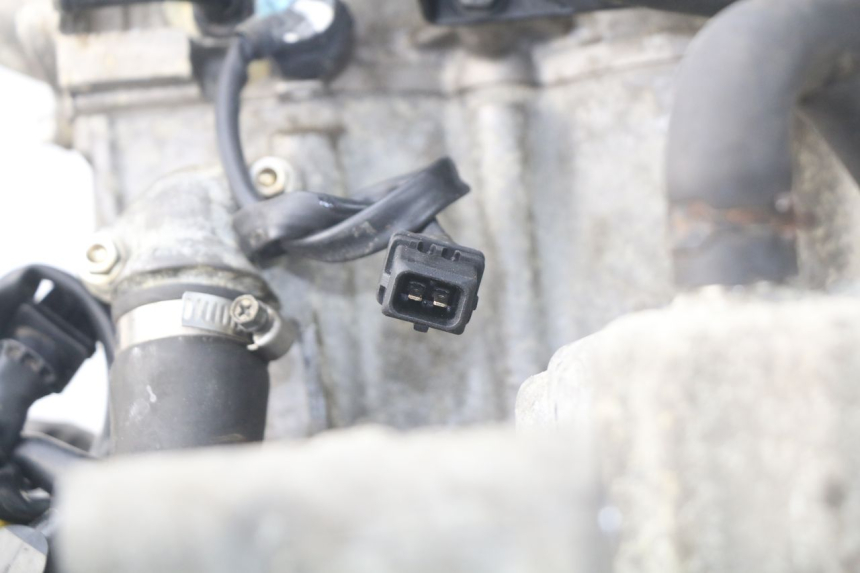 photo de MOTORE TRIUMPH SPRINT ST ABS 1050 (2005 - 2007) - Caratteristiche distintive