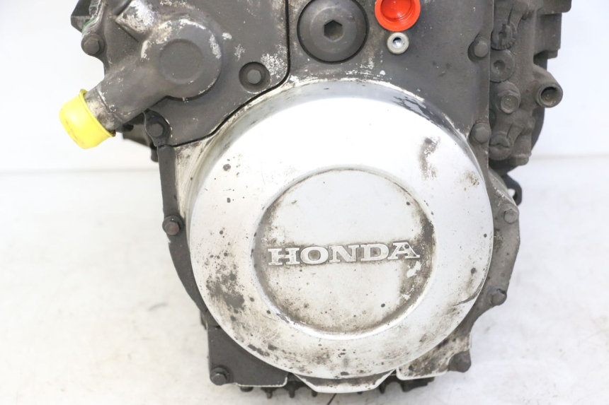 photo de MOTORE HONDA ST PAN EUROPEAN 1300 (2002 - 2013) - Altra vista dell'articolo