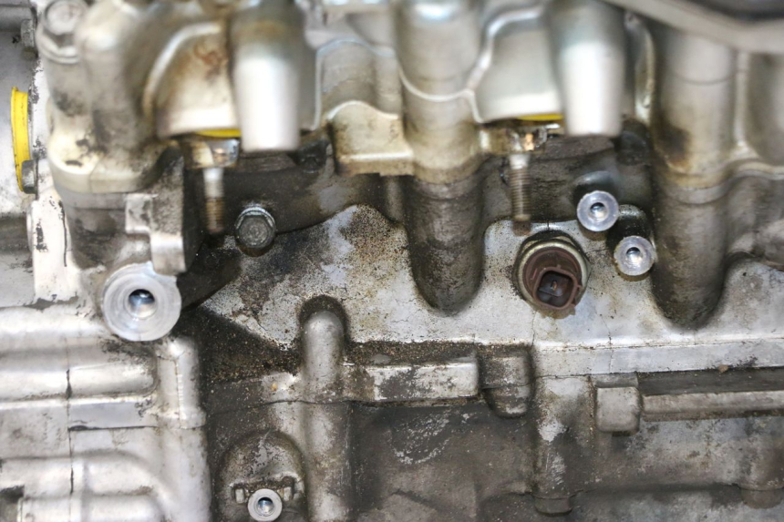 photo de MOTORE HONDA ST PAN EUROPEAN 1300 (2002 - 2013) - Primo piano ad alta risoluzione