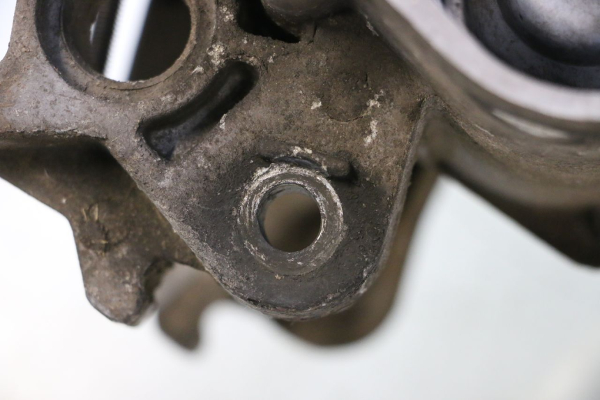 photo de MOTORE PEUGEOT STREETZONE NAKED 2T 50 (2014 - 2018) - Dettaglio del componente