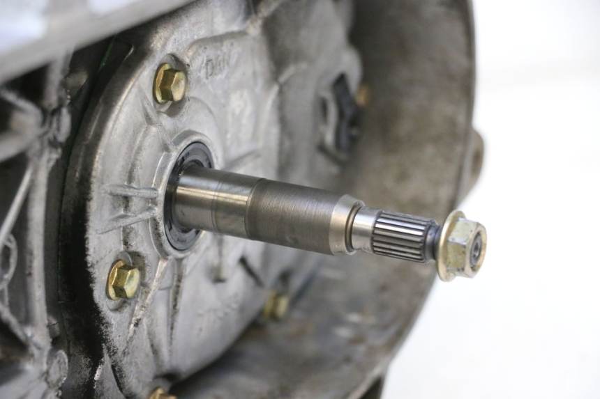 photo de MOTORE PEUGEOT STREETZONE NAKED 2T 50 (2014 - 2018) - Dettaglio del componente