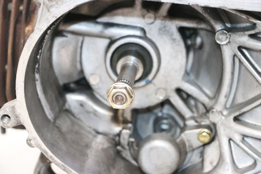 photo de MOTORE PEUGEOT STREETZONE NAKED 2T 50 (2014 - 2018) - Primo piano tecnico