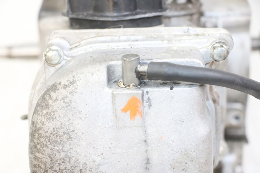 photo de MOTORE JM MOTORS SUNNY 50 (2017 - 2020) - Caratteristiche distintive