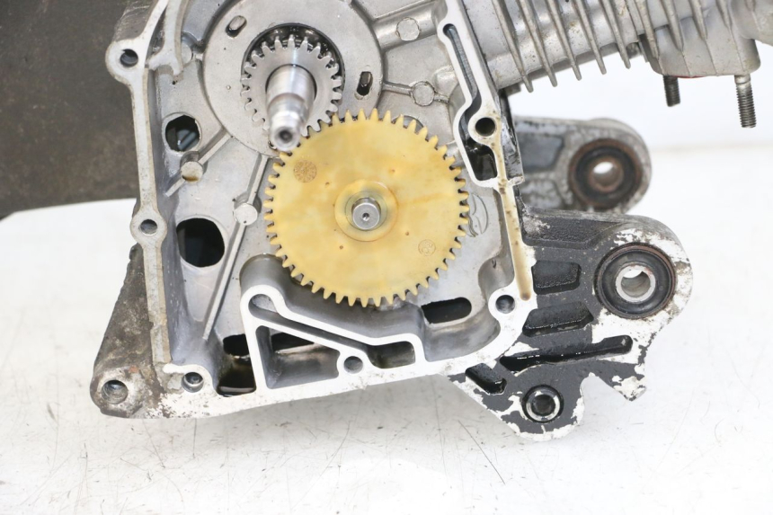 photo de MOTORE JM MOTORS SUNNY 50 (2017 - 2020) - Stato della superficie e materiale