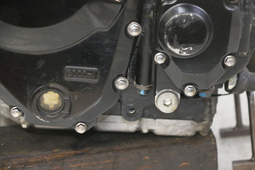 photo de MOTORE SUZUKI GSX F GSXF 650 (2007 - 2015) - Dettaglio del componente