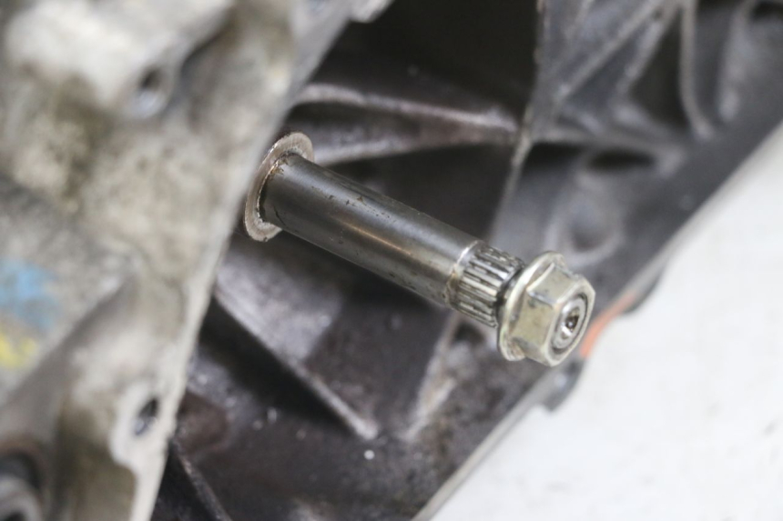 photo de MOTORE PEUGEOT TKR TREKKER FURIOUS 50 (2005 - 2014) - Panoramica del profilo