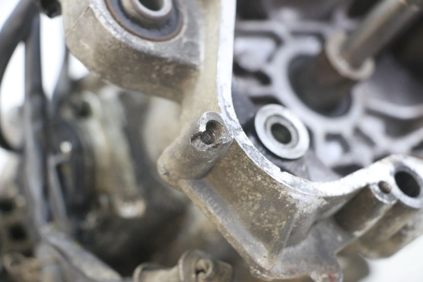 photo de MOTORE PEUGEOT TKR TREKKER FURIOUS 50 (2005 - 2014) - Primo piano tecnico