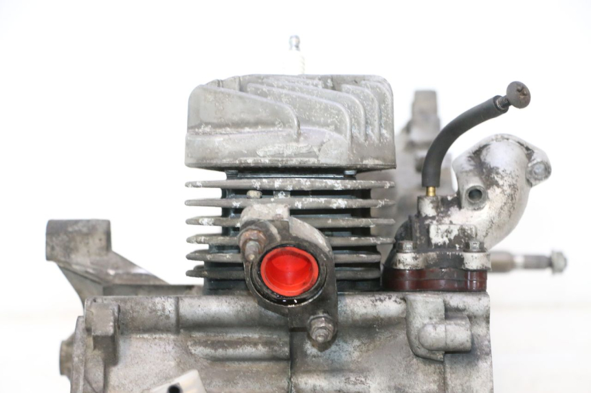 photo de MOTORE PEUGEOT TREKKER TKR 50 (2005 - 2014) - Focus sulla struttura