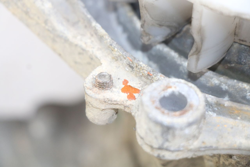 photo de MOTORE PEUGEOT TREKKER 50 (1998 - 2004) - Primo piano tecnico