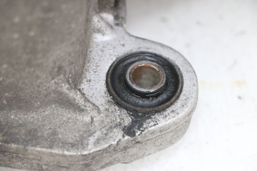 photo de MOTORE PEUGEOT TWEET 4T 50 (2014 - 2019) - Dettaglio del componente